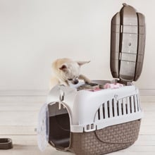 Transportino Pet Carrier with Compartment